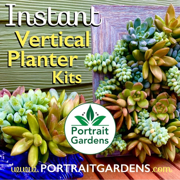 5x7 Portrait Gardens Vertical Planter 🌱 - Picture 4 of 6